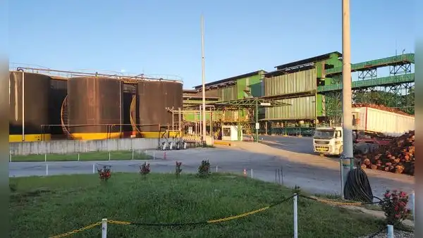 OEFA confirma que palmicultora Ocho Sur cumple con normativas ambientales vigentes