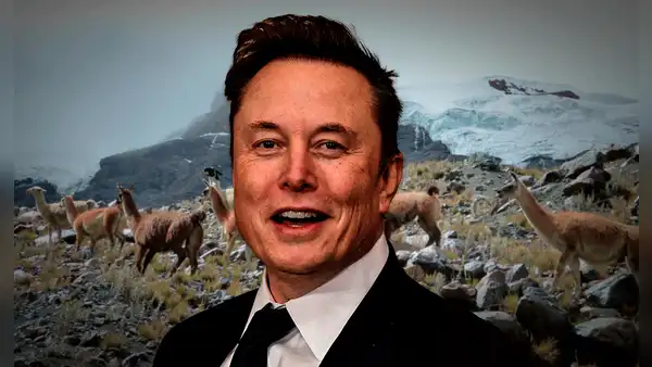 DOGE de Elon Musk cancela casi US$ 1 millón en subvenciones de Estados Unidos para cría de alpacas en Perú