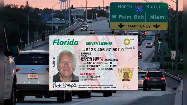 FLHSMV: así podrás renovar tu licencia de conducir en Florida online y presencial este 2025