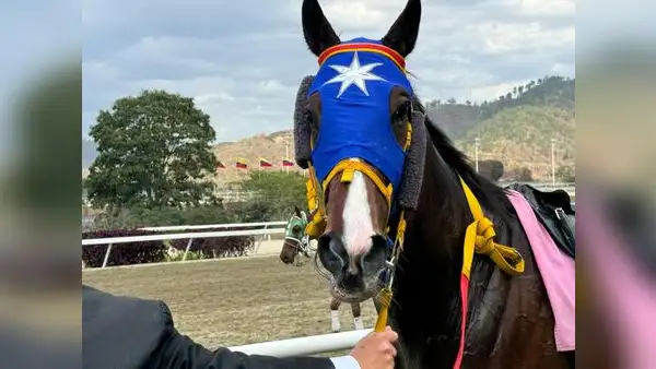 Cuánto pagó el 5y6 Hipódromo La Rinconada HOY, 9 de marzo: monto de los cuadros con 6 aciertos y dividendos de las carreras