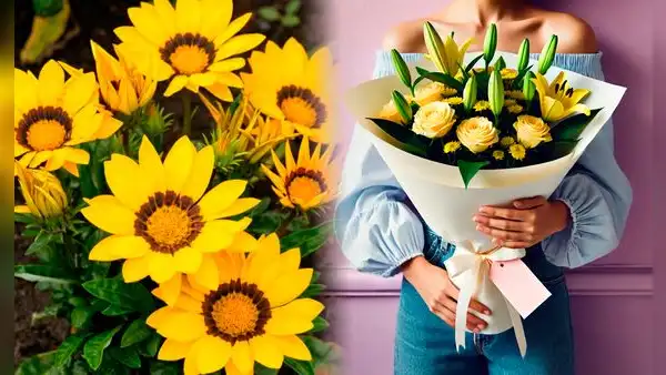 21 de marzo: ¿qué simbolizan las flores amarillas y cuál es la razón de regalarlas durante esta fecha de 2025?
