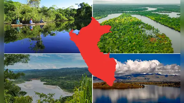 Así son las 4 áreas naturales protegidas de Perú más biodiversas del mundo: ¿cuáles son?