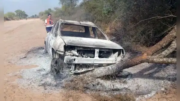 Hombre iba a visitar la tumba de su madre, pero murió calcinado tras ser atacado por abejas y chocar su camioneta en Argentina