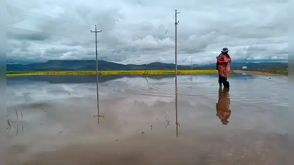 Gobierno aún no declara en emergencia cinco distritos de Puno por desborde de ríos