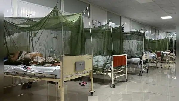 Serotipo 3 del dengue causa preocupación: ya hay más de 18.600 casos y 28 defunciones