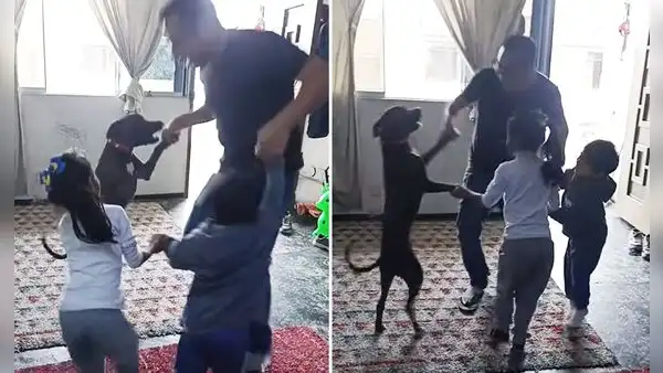 Perro sorprende a su familia al jugar 'lobo, ¿qué estás haciendo?' y escena es viral: "Un niño más"