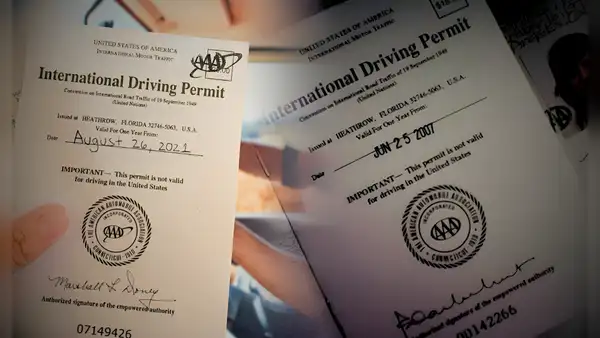 Licencia de conducir internacional en USA: los requisitos para solicitar el IDP en la Asociación Estadounidense del Automóvil