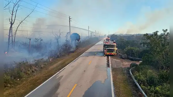 Incendio forestal en Miami-Dade sigue activo luego de ocho días y bomberos sospechan que fue provocado