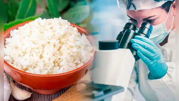 Ordenan retirar popular marca de arroz de los supermercados en España: contendría alérgenos