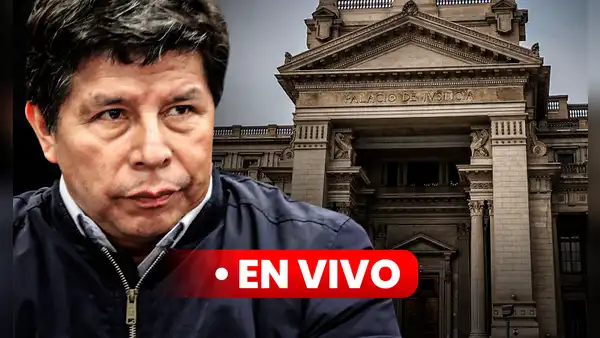 Pedro Castillo: juicio oral contra expresidente por fallido golpe de Estado continuará este viernes 28