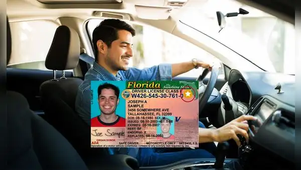 Licencia de conducir en Florida para inmigrantes: los pasos que debes seguir para sacar tu brevete, según FLHSMV