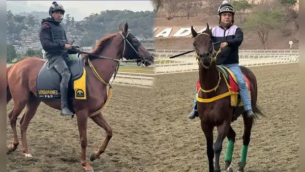 Pronósticos fijos y traqueos 5y6 La Rinconada para el 30 de marzo: favoritos de Gaceta Hípica, Grupo Cordialito y más