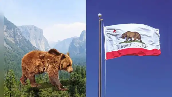 ¿Por qué hay un oso en la bandera de California? Descubre la historia tras sus símbolos cuando pertenecía a México y no a EEUU