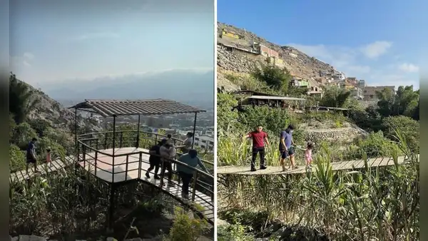 Mujer peruana reveló cómo creó una selva escondida entre los cerros de San Juan de Lurigancho con más de 100 variedades de plantas: "Fue un juego"