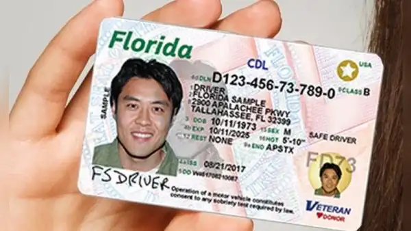 Licencia de conducir en Florida: estas son las multas por manejar sin brevete este 2025