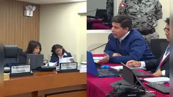 Pedro Castillo tilda de "mamarracho" juicio en su contra y jueza Carbajal advierte sanciones: "Se puede mandar a expulsarlo"