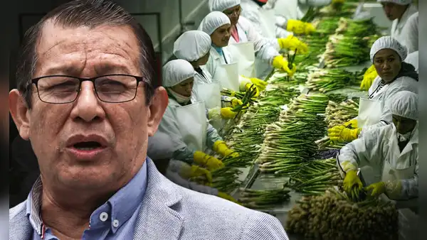 Congreso busca acelerar la aprobación de Ley Chlimper 2.0 que beneficia a grandes agroexportadoras