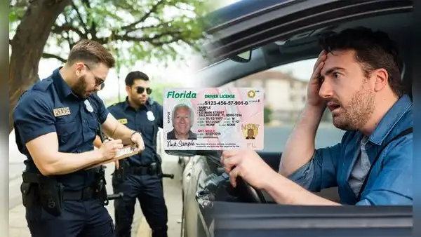 La herramienta poco conocida que los conductores en Florida deben completar para no recibir importantes sanciones