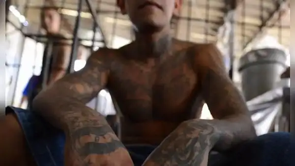 Tres miembros de la MS-13 fueron capturados y ahora enfrentan cargos por asesinato ocurrido hace una década en Florida