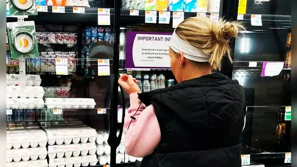 ¿No sabes dónde conseguir huevos a menos de US$5.60 en EEUU? Estos son los 3 supermercados que los venden más baratos