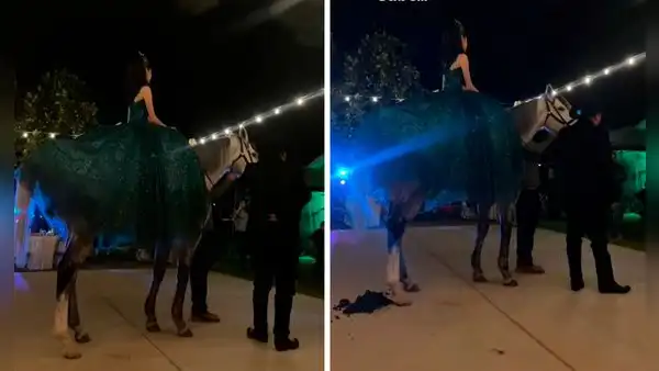 Quinceañera ingresa a su fiesta montada en un caballo, pero corcel le deja un inolvidable regalo