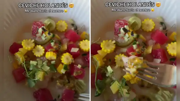 Peruana pidió ceviche en restaurante de Holanda y lo que le traen la deja en shock: "Tiene sandía y maracuyá"
