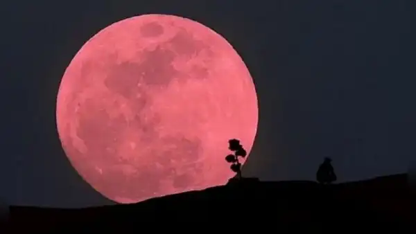 Esta es la sorprendente relación entre la luna llena rosa y Semana Santa: ¿cómo ver este fenómeno espacial?