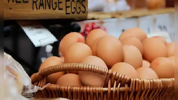 ¡Buenas noticias para consumidores de huevos en EEUU! Expertos brindan fecha estimada en la que precios bajarían