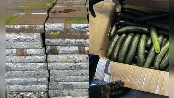 Texas: CBP incauta cargamento de metanfetamina valorado en US$14 millones oculto en chiles y pepinos provenientes de México