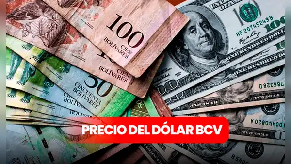 Precio del dólar BCV hoy, 20 de abril: revisa la tasa del Banco Central de Venezuela en Semana Santa