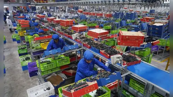 Exportaciones regionales superan los US$10.000 millones: Ica y Arequipa siguen liderando envíos