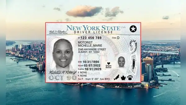 Real ID en Nueva York: DMV confirma que podrás tramitar el documento en este mega evento hasta el 27 de abril