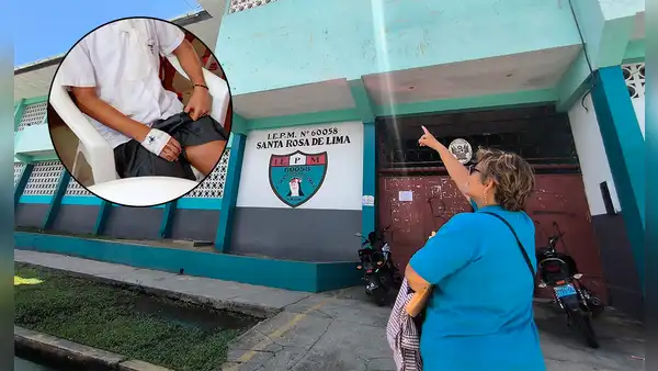 Iquitos: cerca de 50 estudiantes fueron atacados por abejas durante clases