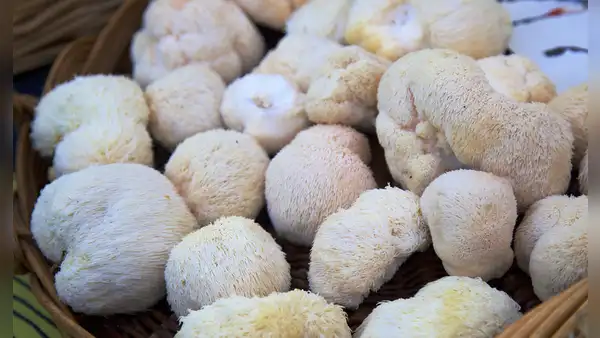 Biólogos australianos descubren un superalimento para el cerebro que mejora la memoria y regenera sus neuronas