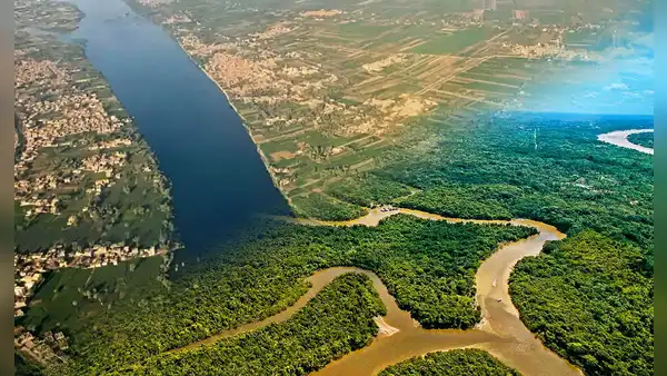 Científicos revelaron cuál es el río más grande de todo el mundo: está en Sudamérica y su tamaño supera al Nilo de África