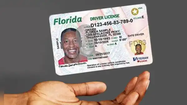Florida: FLHSMV confirma que no le dará la Real ID a quienes no presenten estos documentos en 2025