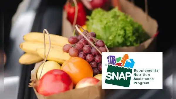 SNAP 2025: estas son las fechas de pago en mayo para cada estado de EEUU