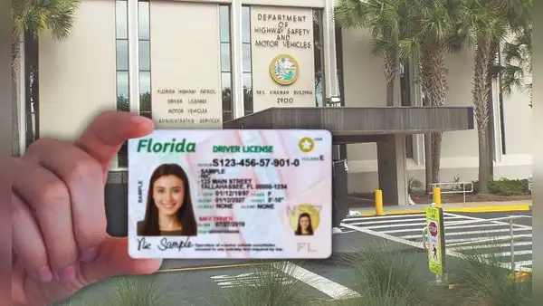 Licencia de conducir en Florida: tramita tu identificación en estas oficinas del FLHSMV