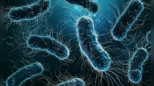 La inteligencia artificial logra en dos días lo que a la ciencia le llevó 10 años: revela el misterio de las superbacterias