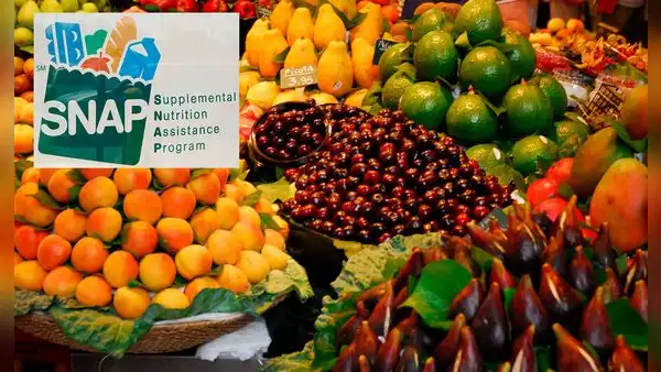SNAP en Florida 2025: conoce el cronograma de pagos de beneficios para el mes de mayo