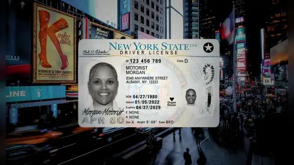 Nueva York: DMV confirma que esta licencia de conducir puede reemplazar a la Real ID para viajar en avión