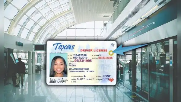 Real ID en Texas: ¿cómo obtener el documento oficial si soy inmigrante en EEUU?