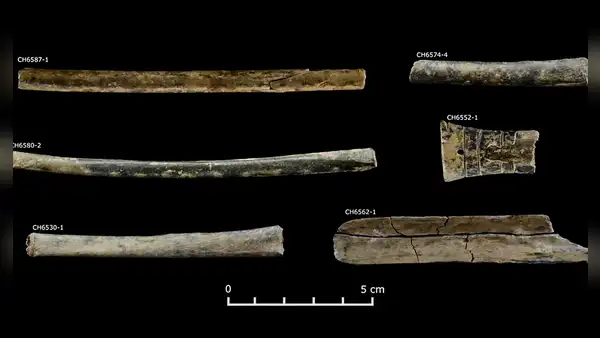 Arqueólogos en Perú descubren una 'sala de drogas' preinca que confirma el uso de psicodélicos hace 2.500 años