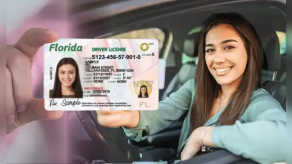 Florida: nueva regla del FLHSMV impone cambios en las licencias de conducir para inmigrantes sin Green Card