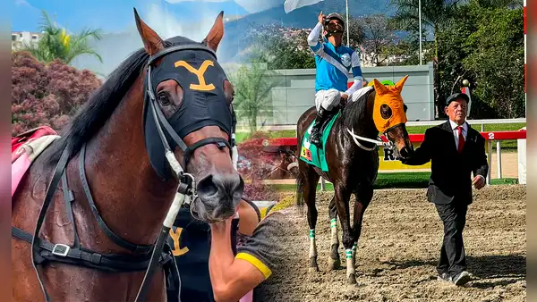 DATOS de última hora 5y6 La Rinconada HOY EN VIVO, 11 de mayo: resultados y pronósticos de Gaceta Hípica, Línea Brava y Fusión Hípica