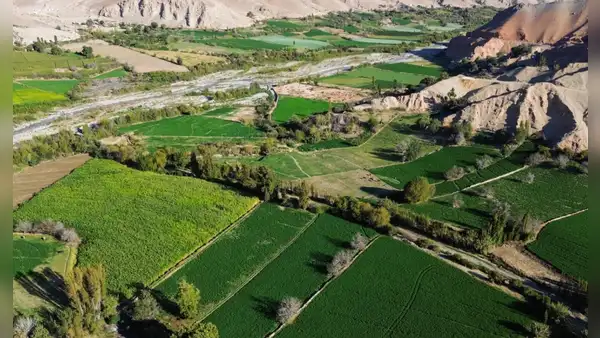 Estos son los más de 20 proyectos de irrigación que se promoverán en Perú: inversión total asciende a más de US$24 mil millones