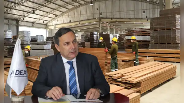 Exportaciones forestales peruanas cayeron en 2024 a su nivel más bajo desde pandemia
