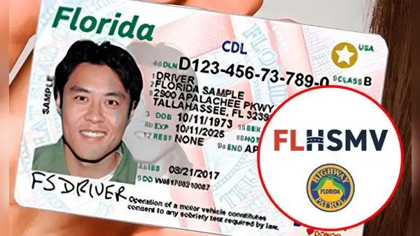 FLHSMV: estas personas deberán tramitar una nueva licencia de conducir en Florida este 2025
