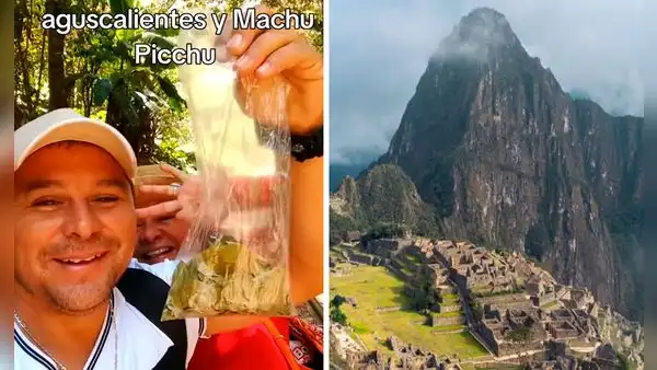 Mexicanos compran hoja de coca para evitar soroche y caminar a Machu Picchu, pero exceden el consumo: “Ya no sentimos nada”