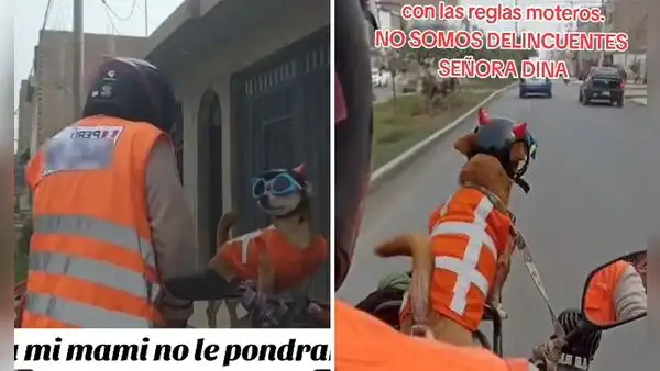Motociclista peruana también le colocó chaleco a su perrito y es furor en redes: “Todo en regla”